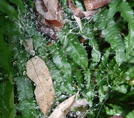 DSC02403a